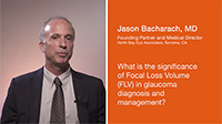 Focal Loss Volume (FLV): Adding New Information to the Glaucoma Diagnosis